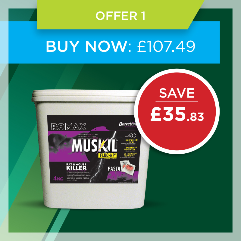 Mint offer 1 Mint offer 1