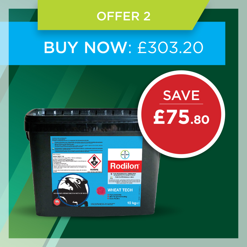 Mint offer 2 Mint offer 2
