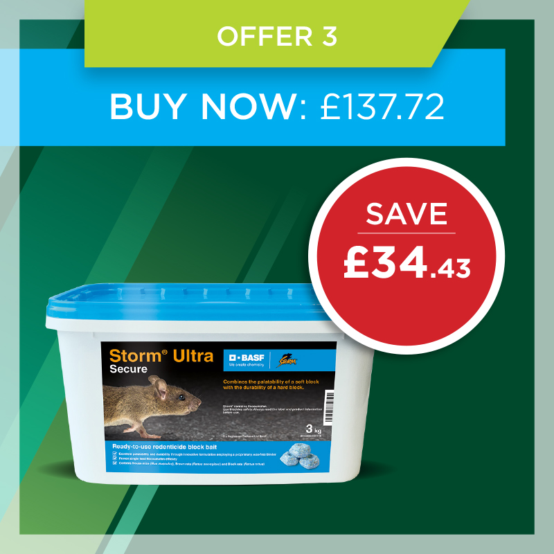 Mint offer 3 Mint offer 3