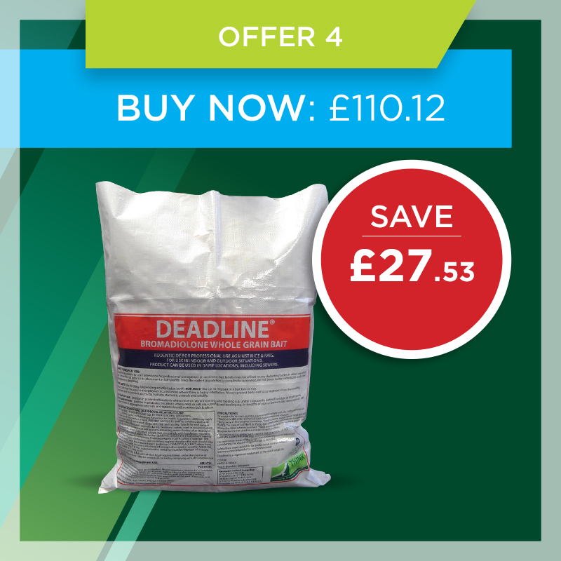 Mint offer 4 Mint offer 4