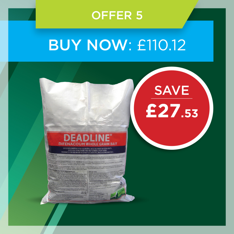 Mint offer 5 Mint offer 5
