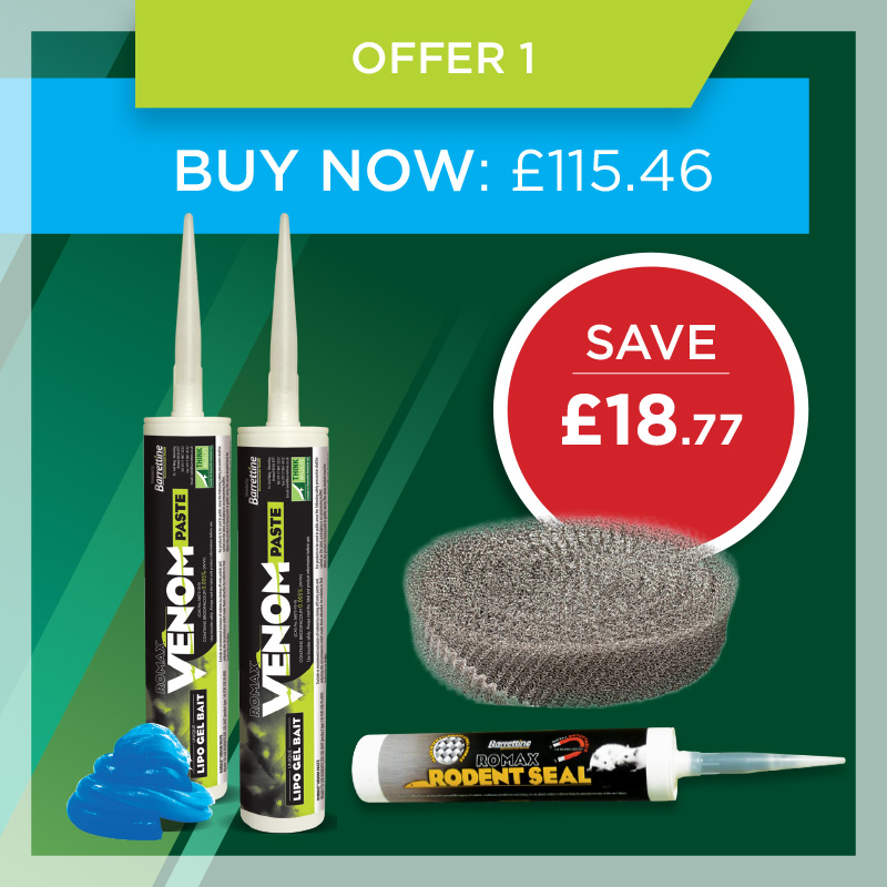 Mint offer 1 Mint offer 1