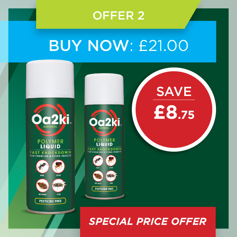 Mint offer 2 Mint offer 2
