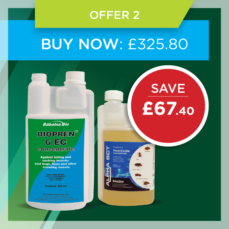 Mint offer 2 Mint offer 2
