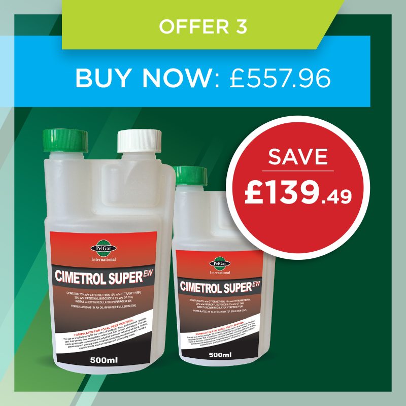 Mint offer 3 Mint offer 3