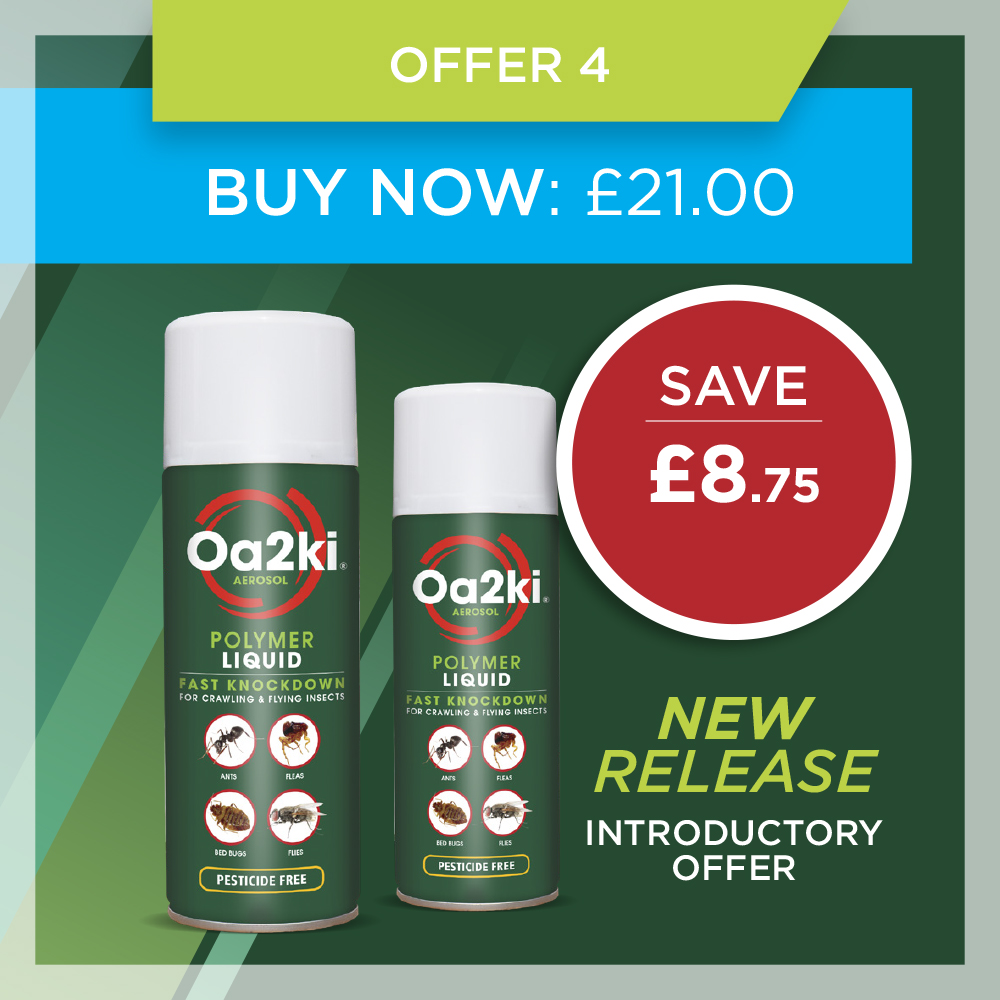 Mint offer 4 Mint offer 4