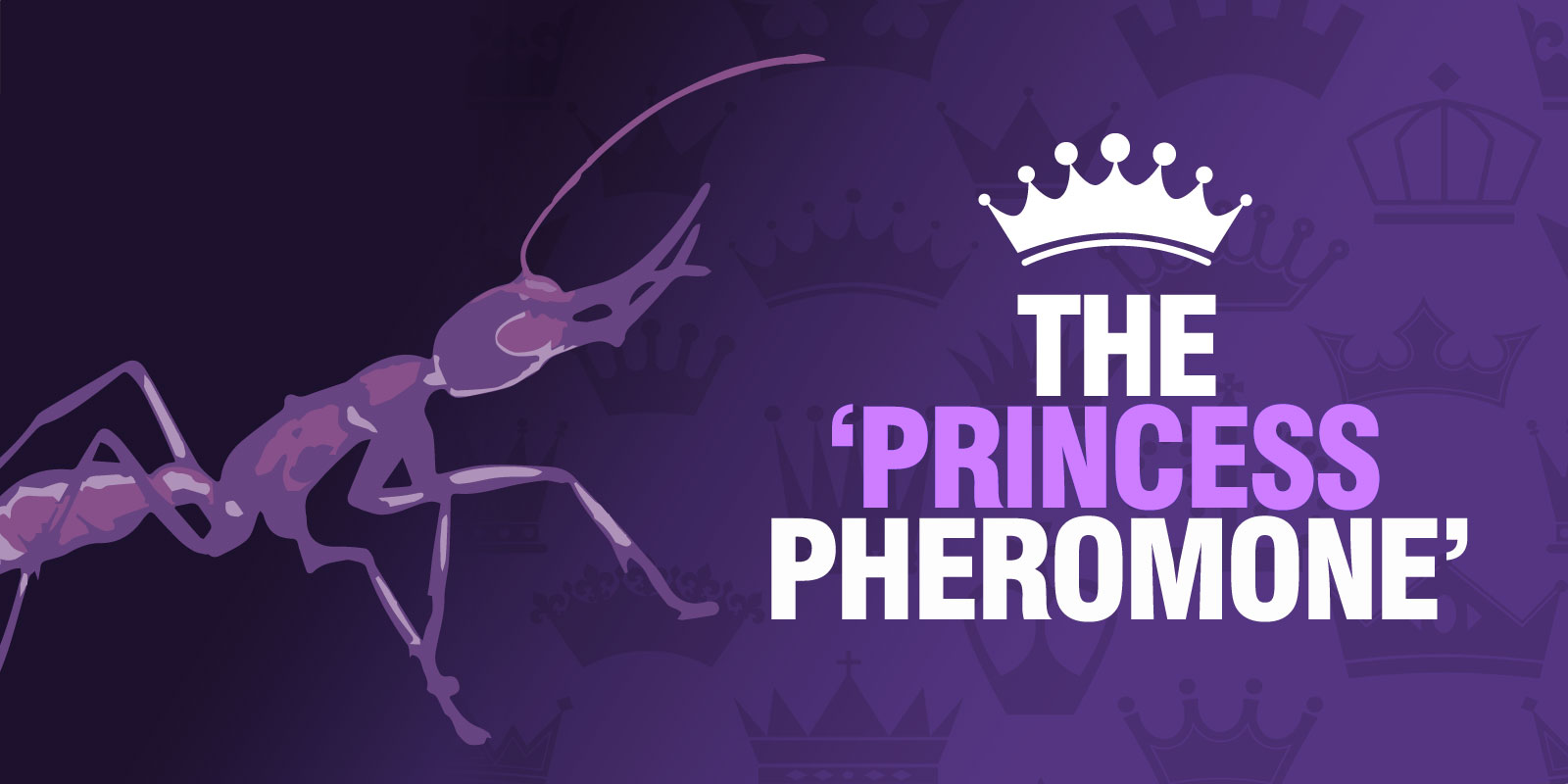 The 'Princess Pheromone'