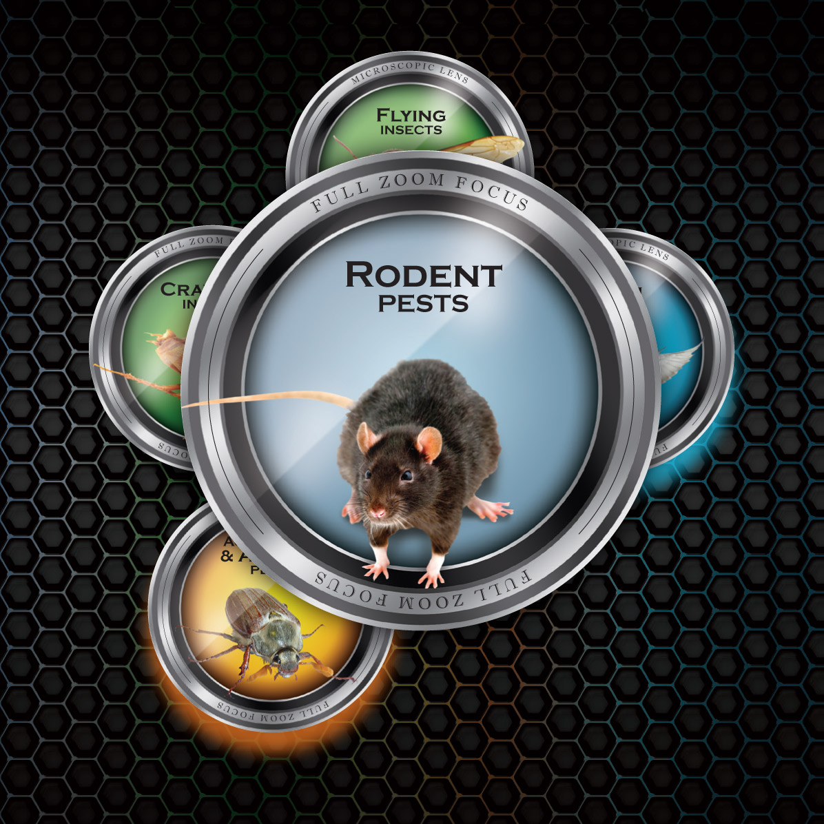 Rodent Pests Rodent Pests