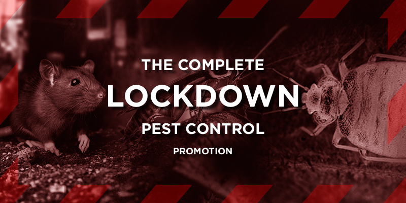 The Complete Lockdown Pest Control Promotion The Complete Lockdown Pest Control Promotion