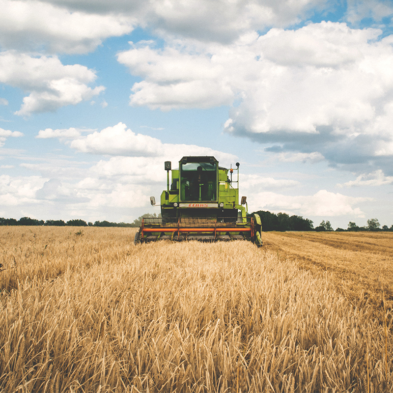 Health & Safety on Farms Health & Safety on Farms
