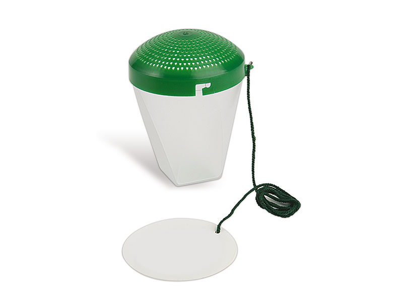 Trappit Beetle (Pitfall)