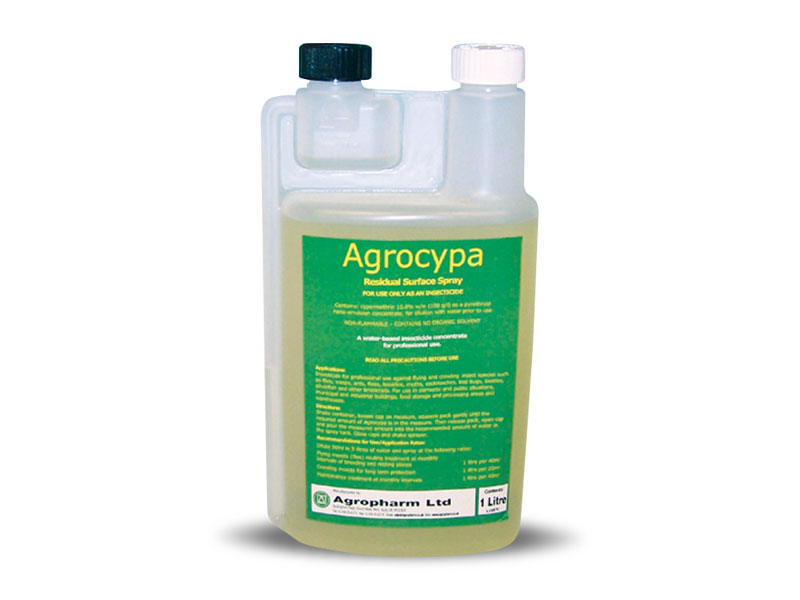 Agrocypa Agrocypa