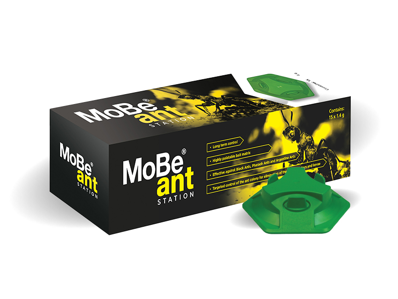 MoBe Ant Station