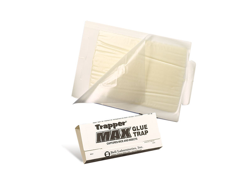 Rodent Glue Boards Barrettine Environmental Health